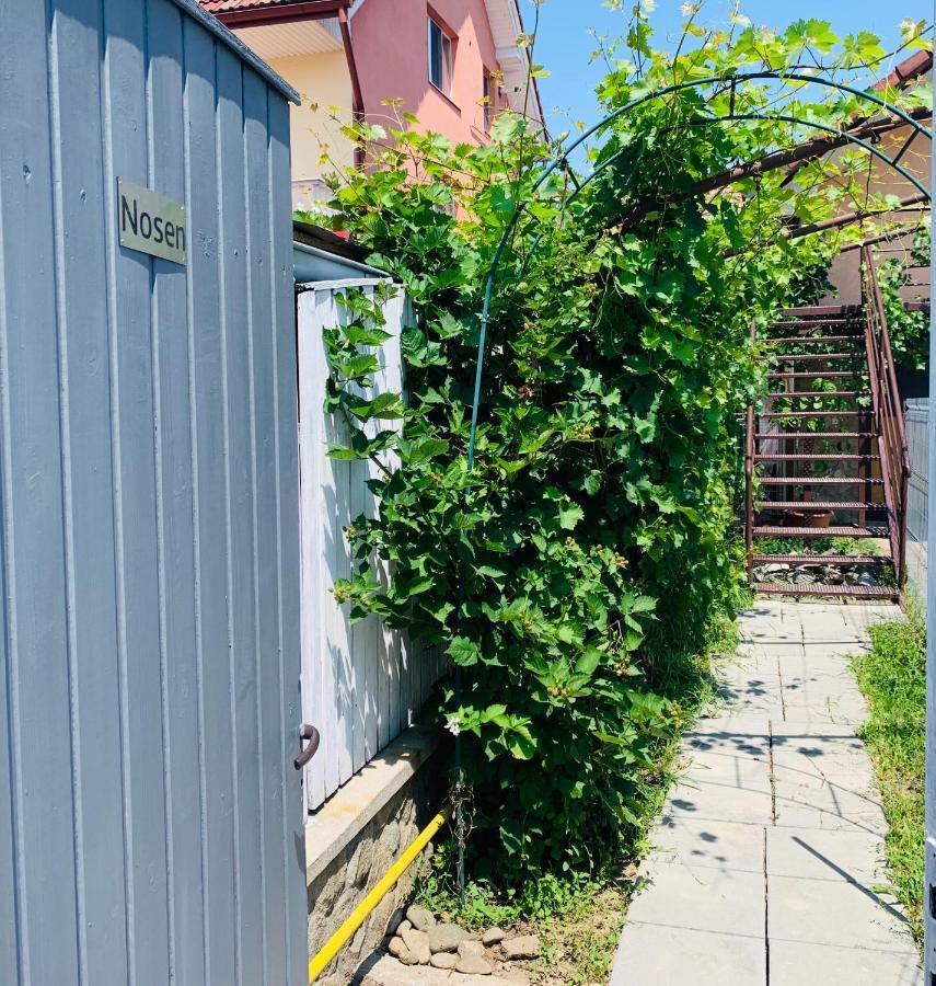 Nosen Apartment Bistrita  Bagian luar foto